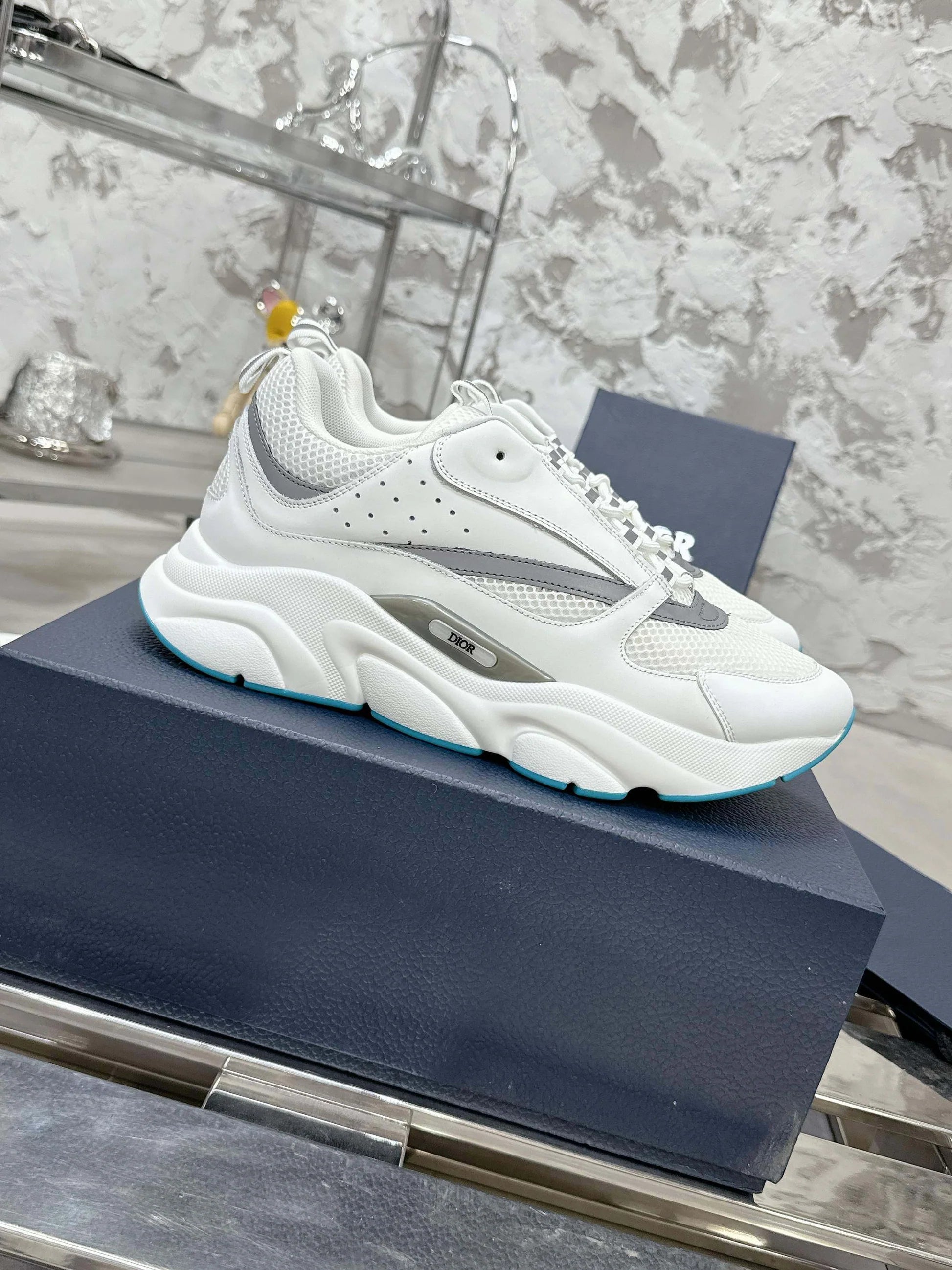 Dior B22 Blanc Argent